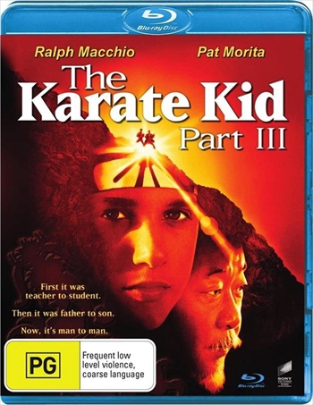 Free Download Karate Kid In Dual Audio
